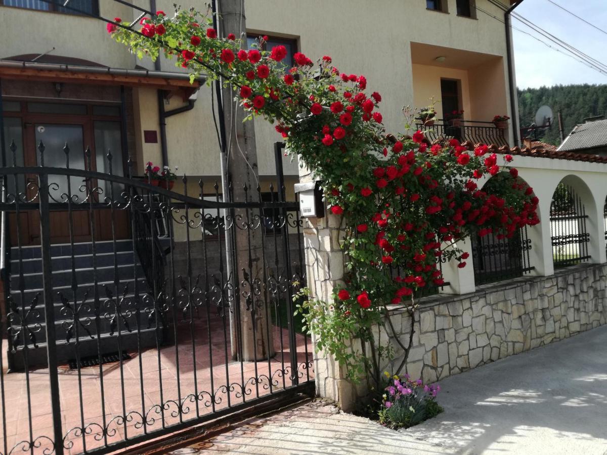 Guest House Benita Devin Exterior photo