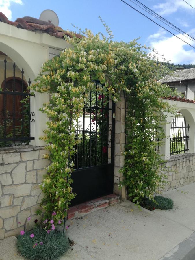 Guest House Benita Devin Exterior photo