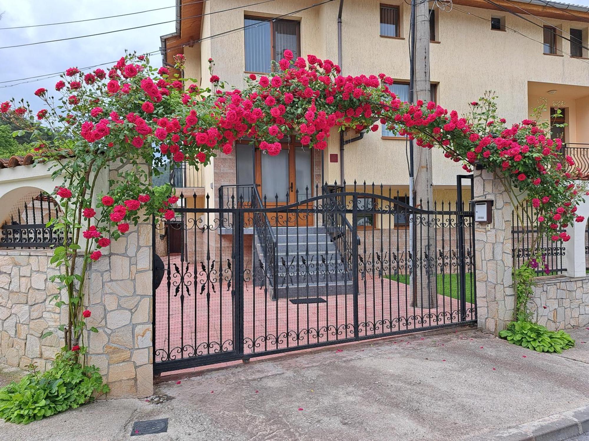 Guest House Benita Devin Exterior photo