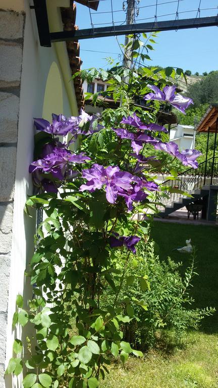 Guest House Benita Devin Exterior photo